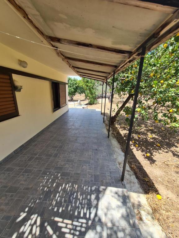 Το Κτήμα Της Ελιάς Του Τάκη Hostal Paralia Demonias Exterior foto