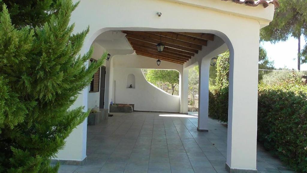Το Κτήμα Της Ελιάς Του Τάκη Hostal Paralia Demonias Exterior foto