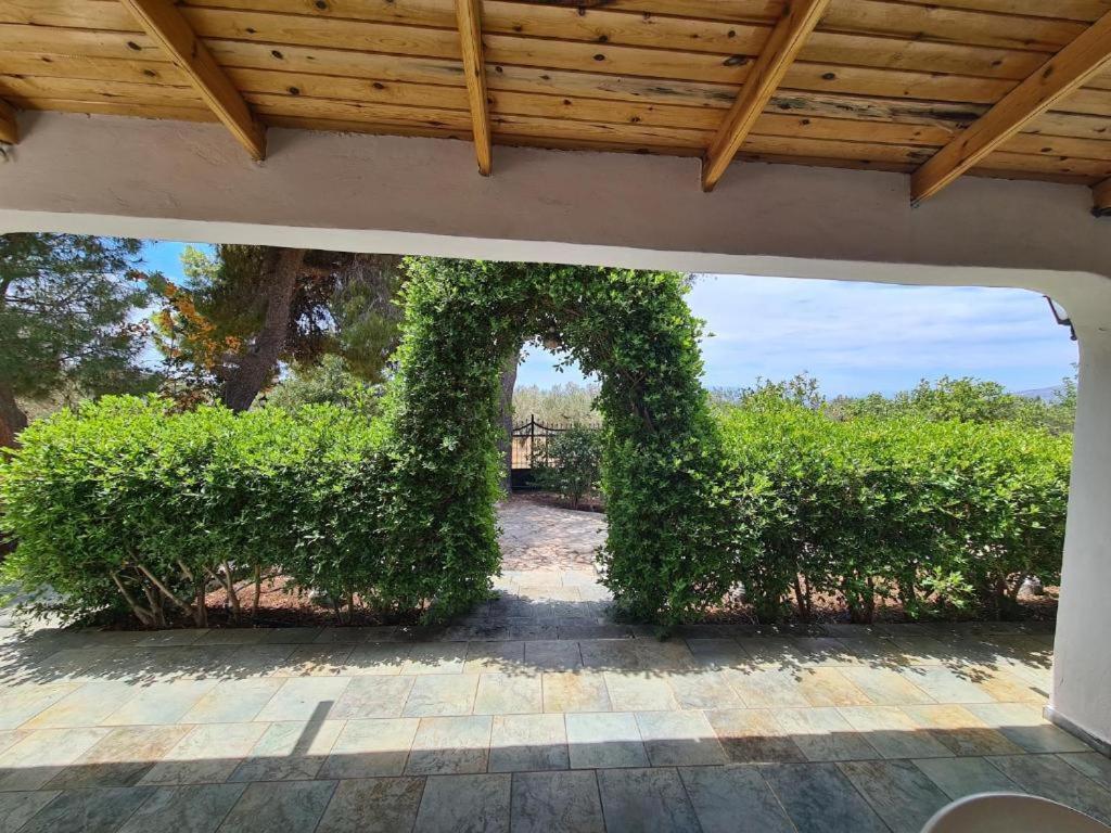 Το Κτήμα Της Ελιάς Του Τάκη Hostal Paralia Demonias Exterior foto